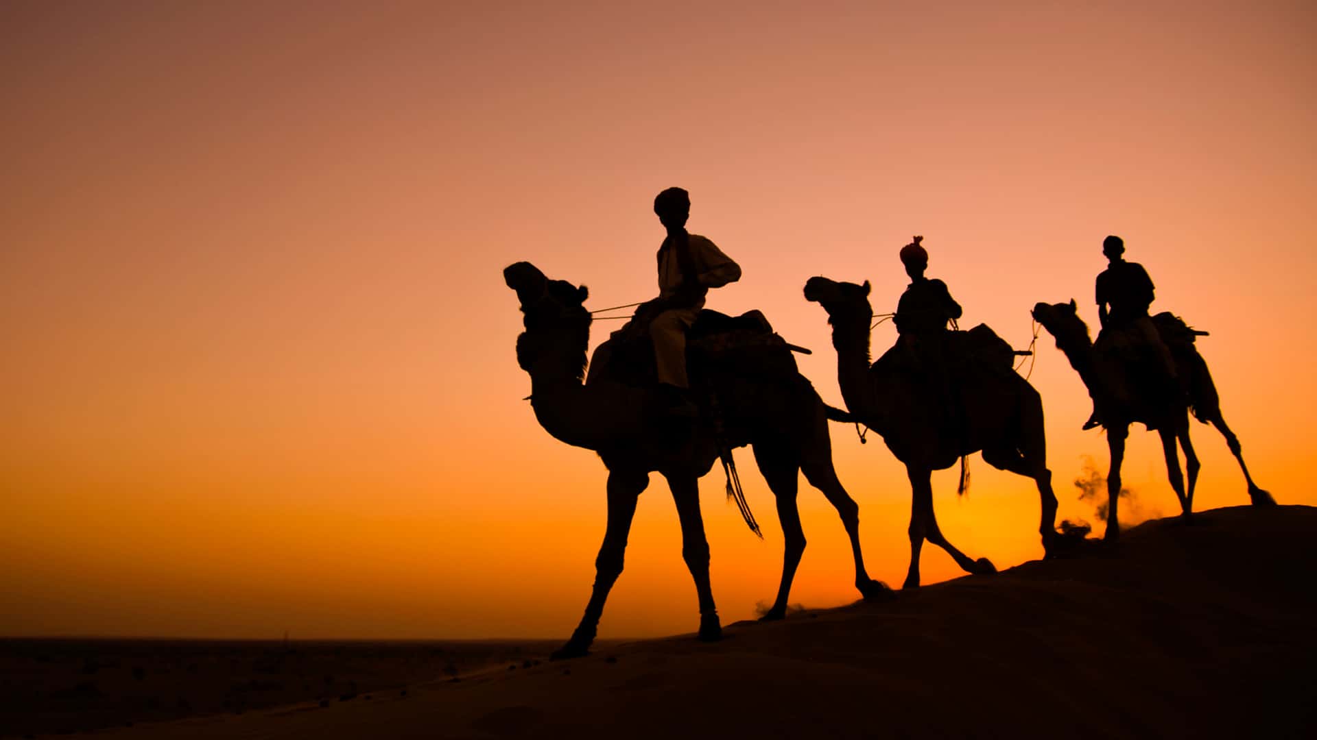 Best Things To Do In Rajasthan For An Amazing Desert Vacation.